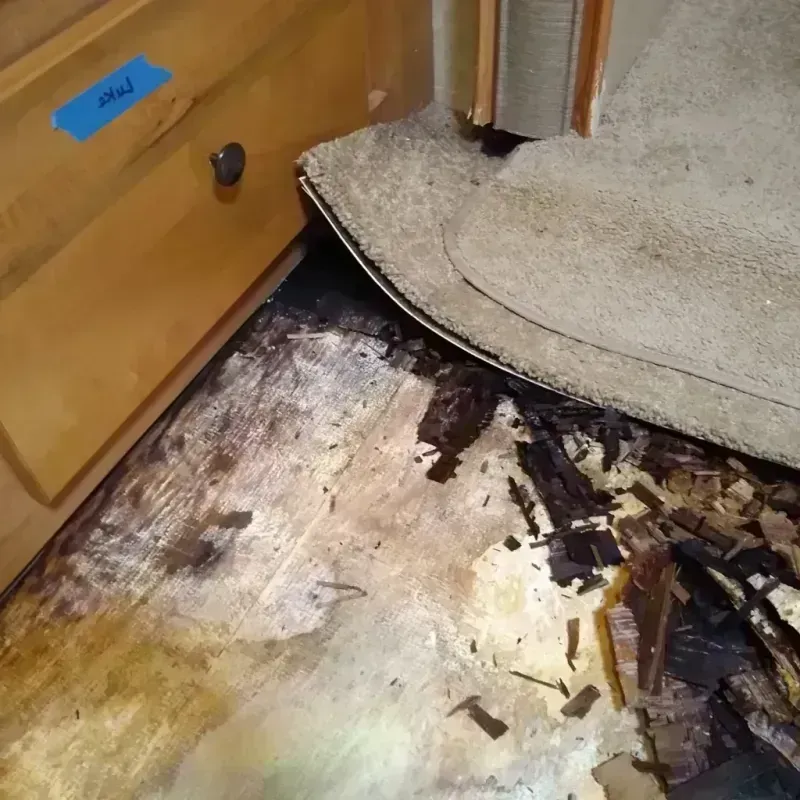 Best Wood Floor Water Damage Service in Baraga, MI